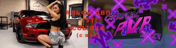 гидропоника Новозыбков
