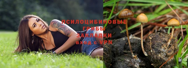 хмурый Новодвинск