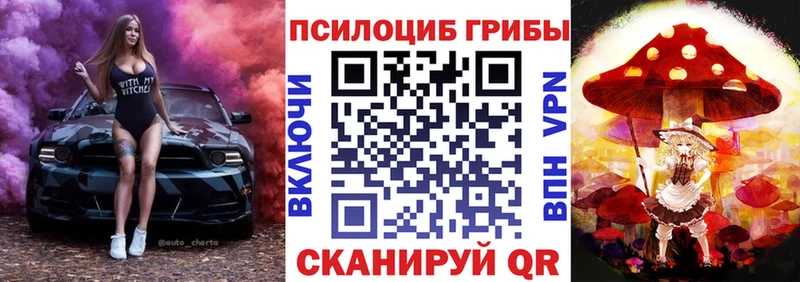 Псилоцибиновые грибы Psilocybine cubensis  Бавлы 